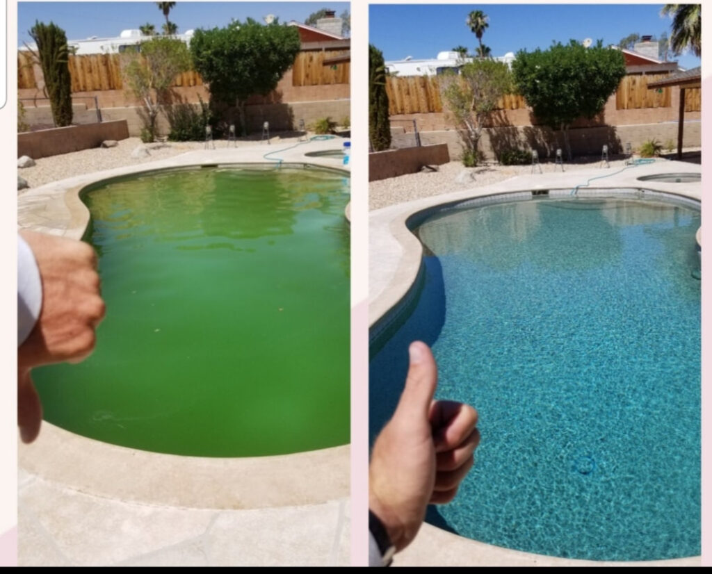 Cleaned Pool